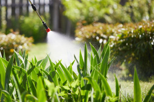 24/7 Emergency Wasp Removal experts in South Barrington, IL