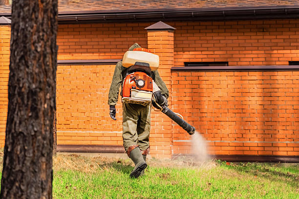 Top rated local Wasp Removal specialists in South Barrington, IL